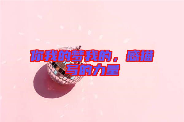 你我的夢(mèng)我的，感描寫的力量