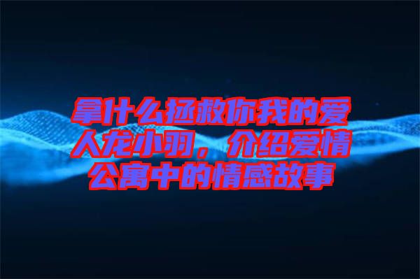 拿什么拯救你我的愛人龍小羽，介紹愛情公寓中的情感故事