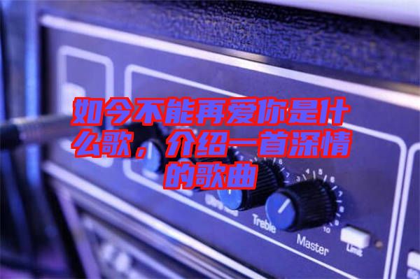 如今不能再愛(ài)你是什么歌，介紹一首深情的歌曲