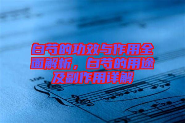 白芍的功效與作用全面解析，白芍的用途及副作用詳解