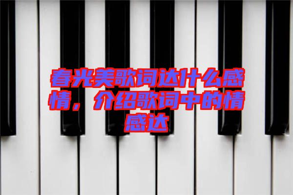 春光美歌詞達什么感情，介紹歌詞中的情感達
