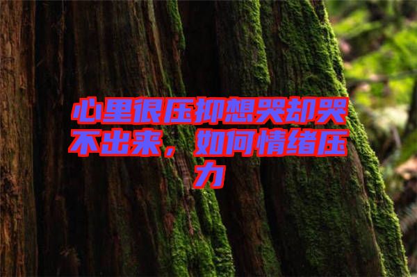 心里很壓抑想哭卻哭不出來，如何情緒壓力
