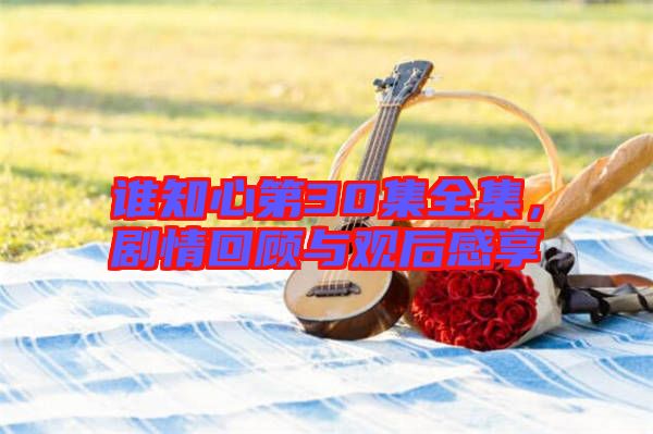 誰(shuí)知心第30集全集，劇情回顧與觀后感享