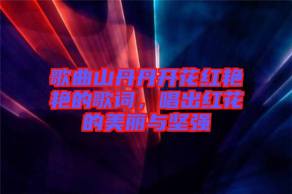 歌曲山丹丹開花紅艷艷的歌詞，唱出紅花的美麗與堅強