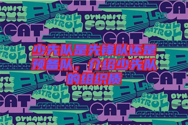 少先隊(duì)是先鋒隊(duì)還是預(yù)備隊(duì)，介紹少先隊(duì)的組織質(zhì)