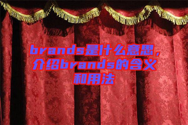 brands是什么意思，介紹brands的含義和用法