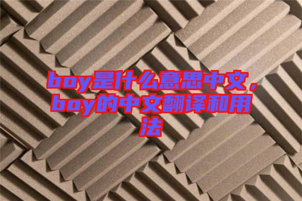 boy是什么意思中文，boy的中文翻譯和用法