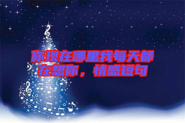 你現(xiàn)在哪里我每天都在想你，情感短句