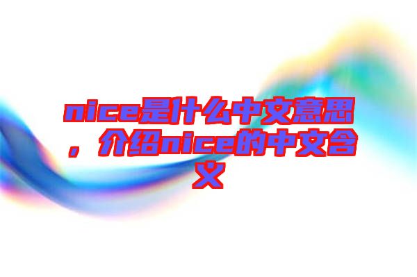 nice是什么中文意思，介紹nice的中文含義
