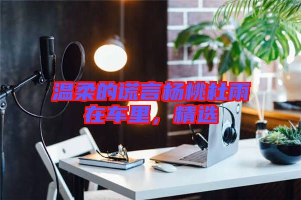 溫柔的謊言楊桃杜雨在車?yán)?，精選