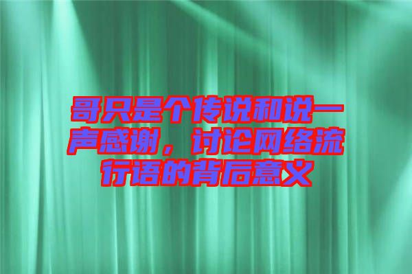 哥只是個傳說和說一聲感謝，討論網(wǎng)絡(luò)流行語的背后意義