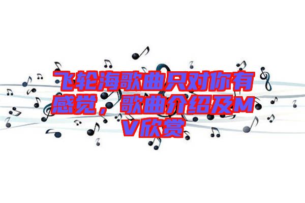 飛輪海歌曲只對(duì)你有感覺，歌曲介紹及MV欣賞