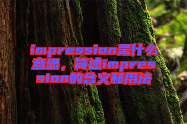 impression是什么意思，簡(jiǎn)述impression的含義和用法