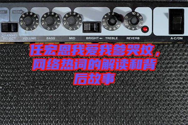 任宏恩我愛我爹哭墳，網(wǎng)絡(luò)熱詞的解讀和背后故事