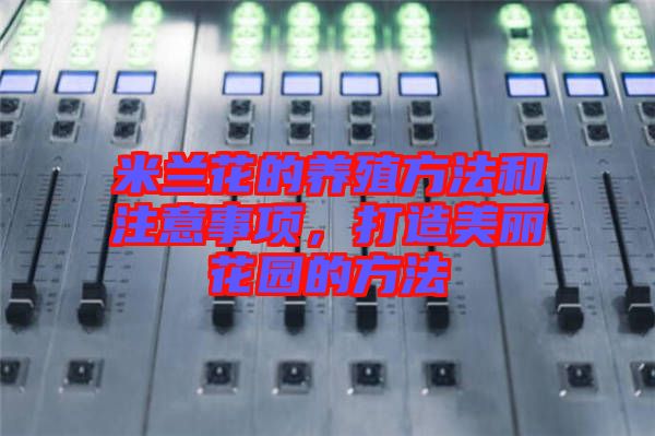 米蘭花的養(yǎng)殖方法和注意事項(xiàng)，打造美麗花園的方法