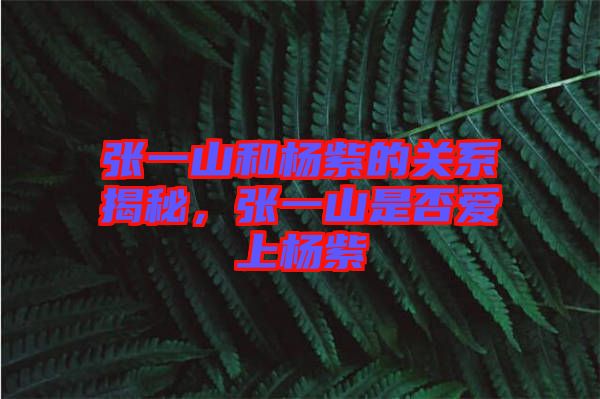 張一山和楊紫的關(guān)系揭秘，張一山是否愛上楊紫