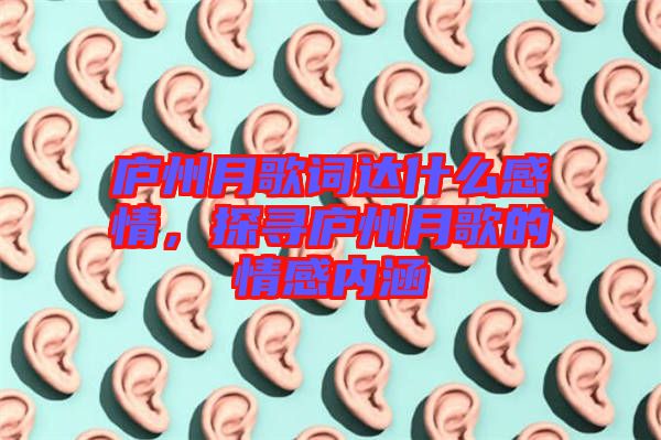 廬州月歌詞達什么感情，探尋廬州月歌的情感內(nèi)涵