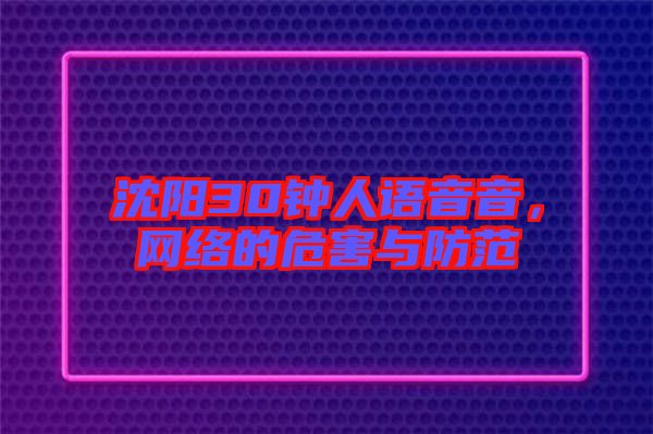 沈陽30鐘人語音音，網(wǎng)絡的危害與防范