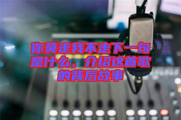 你莫走我不走下一句是什么，介紹這首歌的背后故事