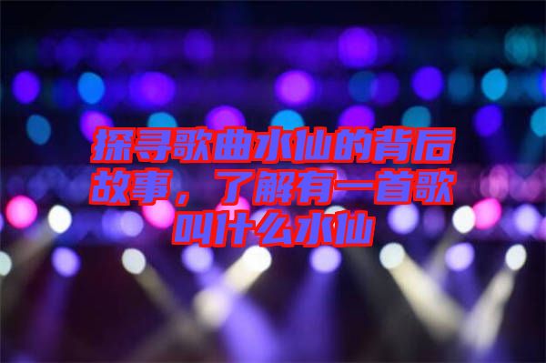 探尋歌曲水仙的背后故事，了解有一首歌叫什么水仙