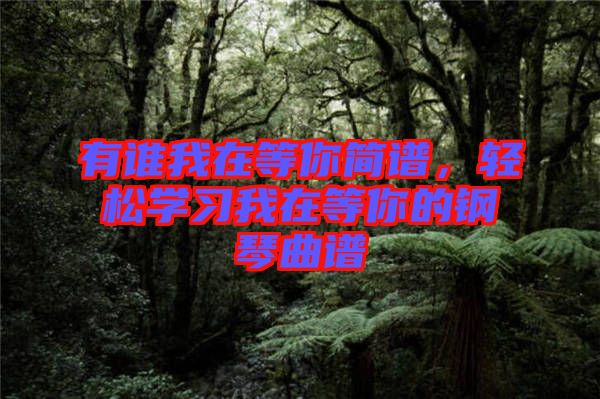 有誰我在等你簡(jiǎn)譜，輕松學(xué)習(xí)我在等你的鋼琴曲譜