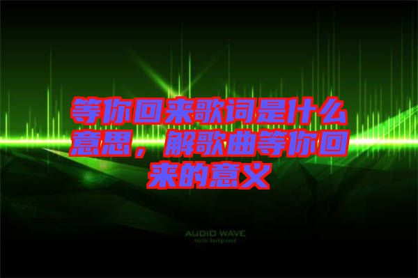 等你回來歌詞是什么意思，解歌曲等你回來的意義