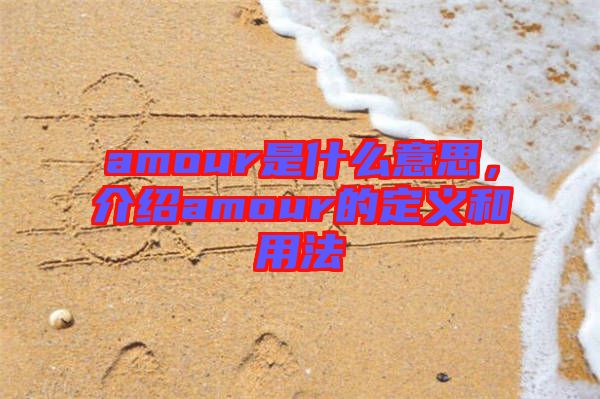 amour是什么意思，介紹amour的定義和用法