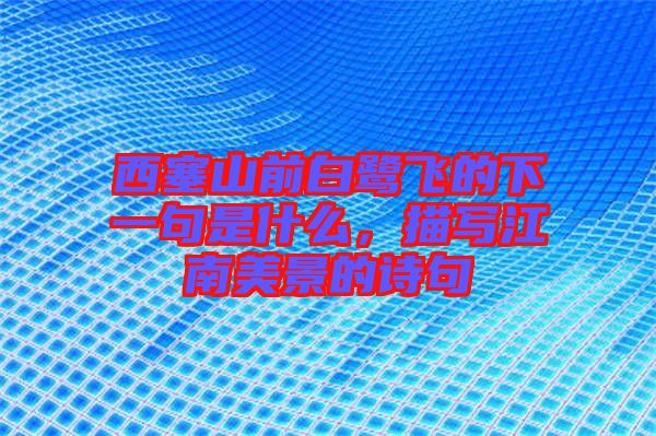 西塞山前白鷺飛的下一句是什么，描寫江南美景的詩句