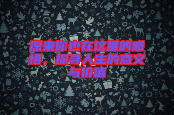 原來(lái)你也在這里的感悟，探尋人生的意義與價(jià)值