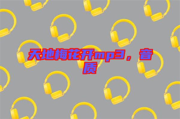 天地梅花開mp3，音質(zhì)