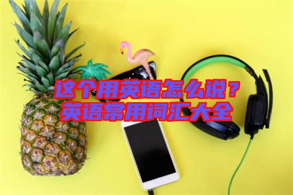 這個用英語怎么說？英語常用詞匯大全