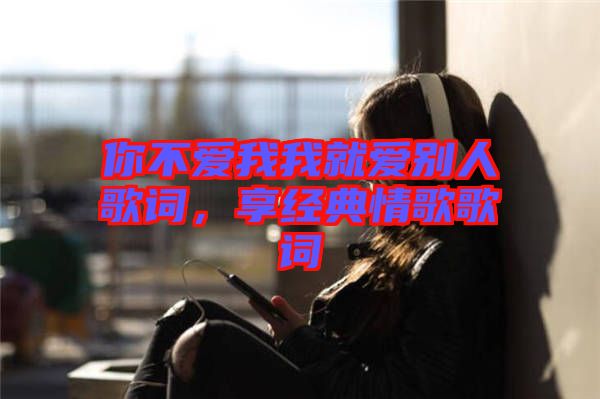你不愛我我就愛別人歌詞，享經(jīng)典情歌歌詞