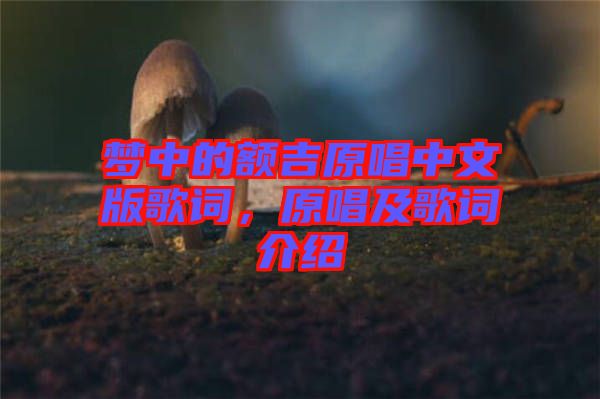 夢(mèng)中的額吉原唱中文版歌詞，原唱及歌詞介紹
