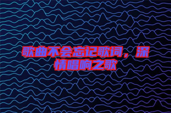歌曲不會(huì)忘記歌詞，深情唱響之歌