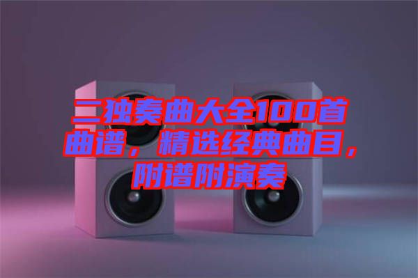 二獨奏曲大全100首曲譜，精選經(jīng)典曲目，附譜附演奏