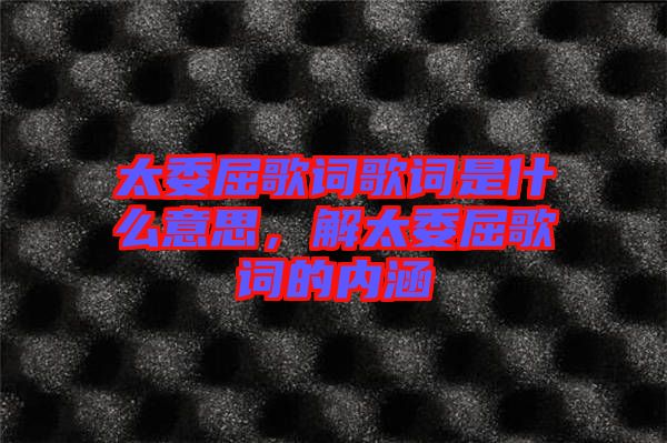 太委屈歌詞歌詞是什么意思，解太委屈歌詞的內(nèi)涵