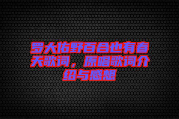 羅大佑野百合也有春天歌詞，原唱歌詞介紹與感想