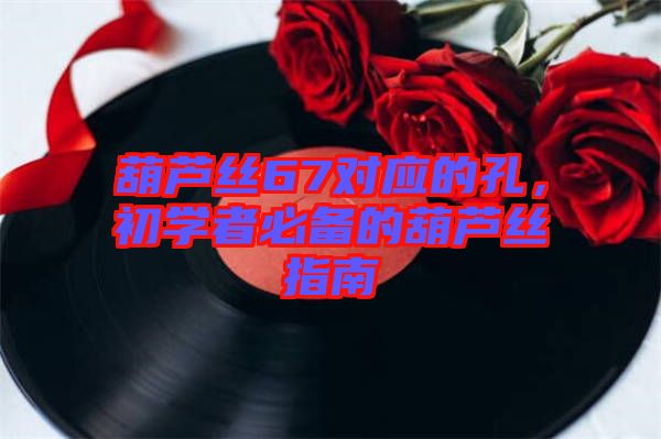 葫蘆絲67對(duì)應(yīng)的孔，初學(xué)者必備的葫蘆絲指南