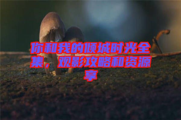 你和我的傾城時光全集，觀影攻略和資源享