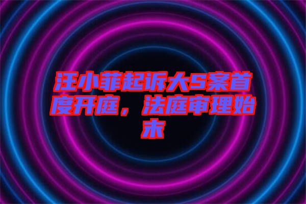 汪小菲起訴大S案首度開庭，法庭審理始末
