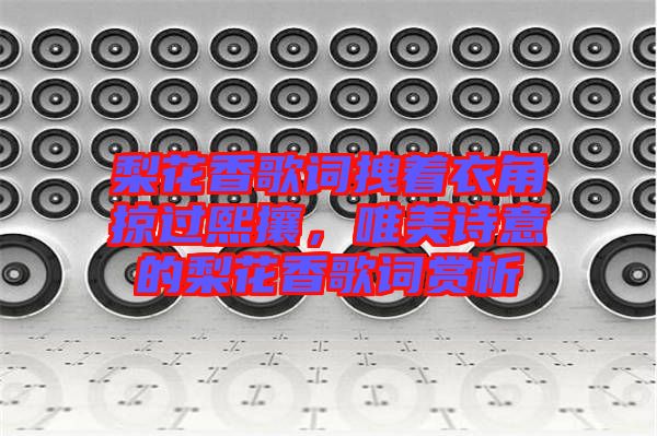 梨花香歌詞拽著衣角掠過熙攘，唯美詩意的梨花香歌詞賞析