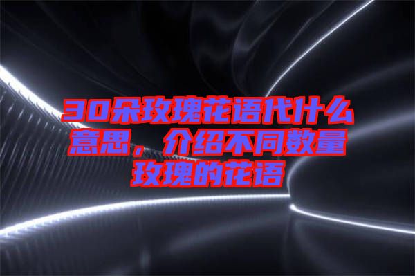 30朵玫瑰花語(yǔ)代什么意思，介紹不同數(shù)量玫瑰的花語(yǔ)