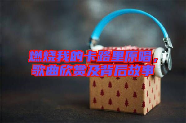 燃燒我的卡路里原唱，歌曲欣賞及背后故事