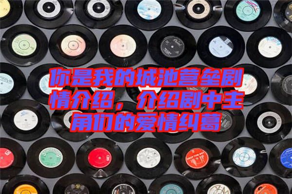 你是我的城池營(yíng)壘劇情介紹，介紹劇中主角們的愛(ài)情糾葛
