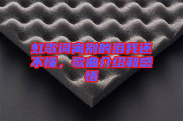 虹歌詞離別的淚我還不懂，歌曲介紹和感悟