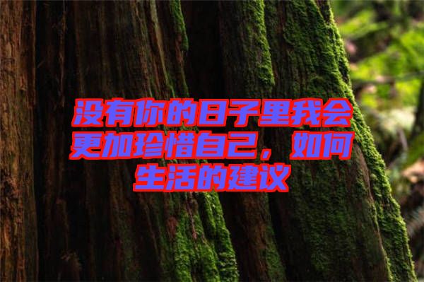 沒(méi)有你的日子里我會(huì)更加珍惜自己，如何生活的建議