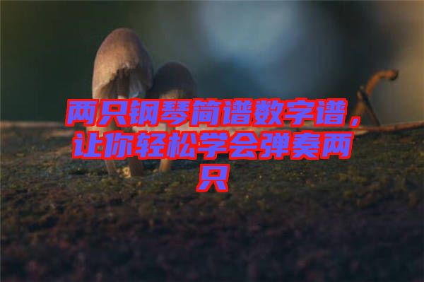 兩只鋼琴簡譜數(shù)字譜，讓你輕松學會彈奏兩只