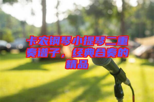 卡農(nóng)鋼琴小提琴二重奏譜子，經(jīng)典合奏的精品