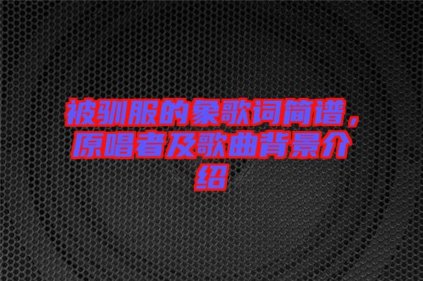 被馴服的象歌詞簡譜，原唱者及歌曲背景介紹