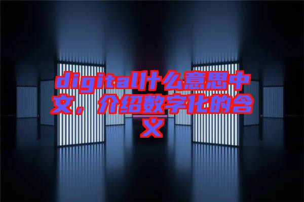 digital什么意思中文，介紹數(shù)字化的含義